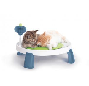 Cat-it Design Senses  Comfort Zone