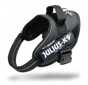 Julius K9 IDC Powertuig Mini-Mini black
